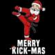 frohe kickboxen weihnachten in köln